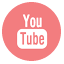 YouTube Video Archive